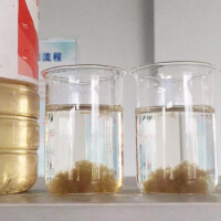 Полиэлектролит